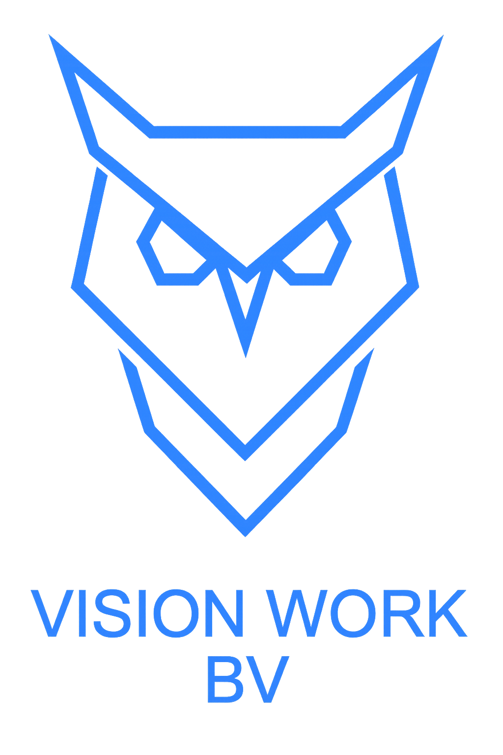 Vision Work BV